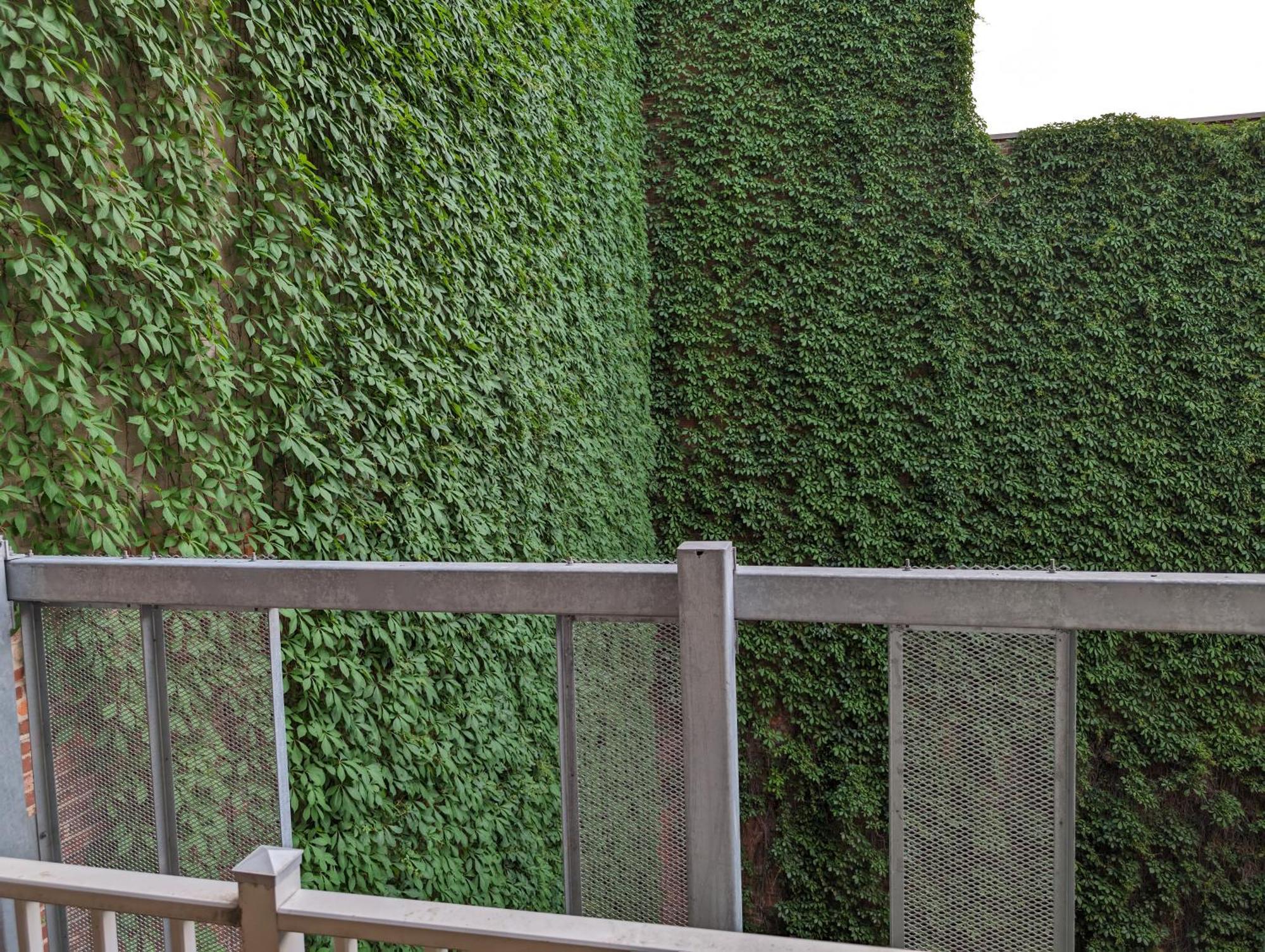 Cozy Studio In Montreal'S Quartier Des Spectacles エクステリア 写真